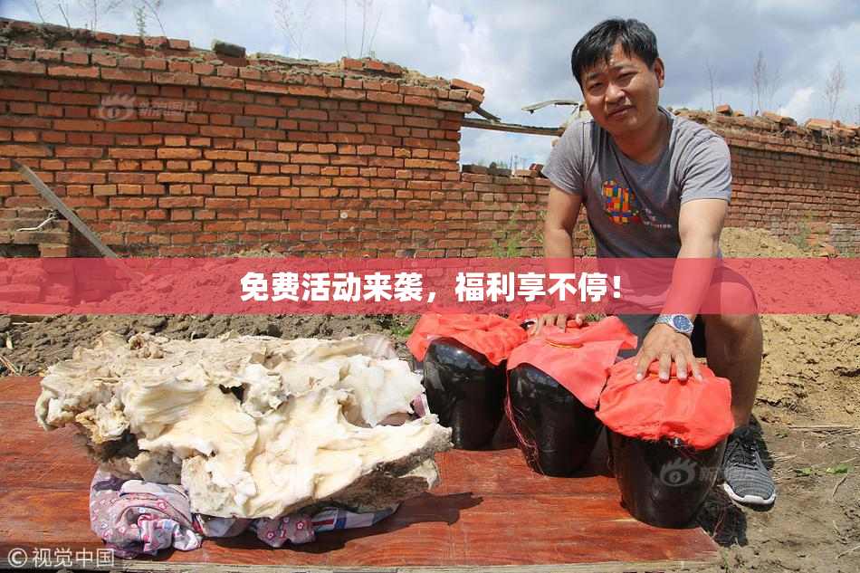 免费活动来袭，福利享不停！