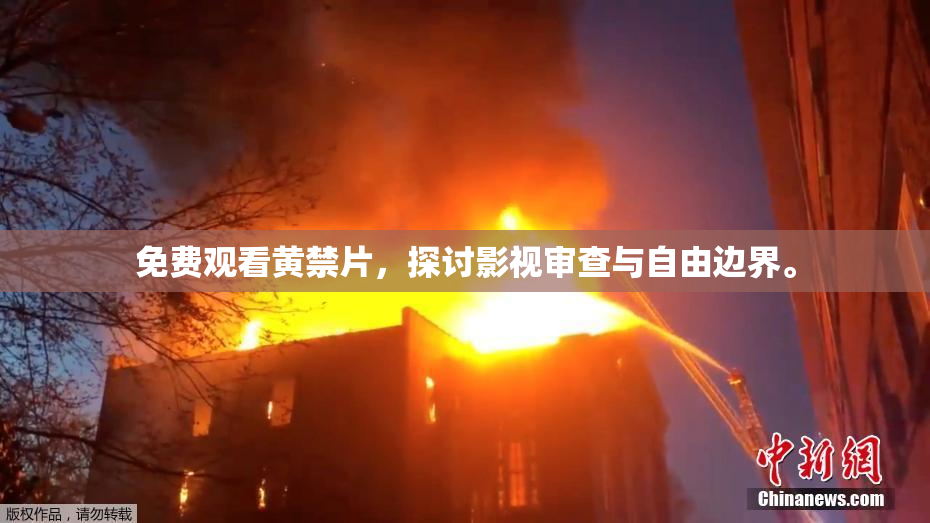 免费观看黄禁片，探讨影视审查与自由边界。