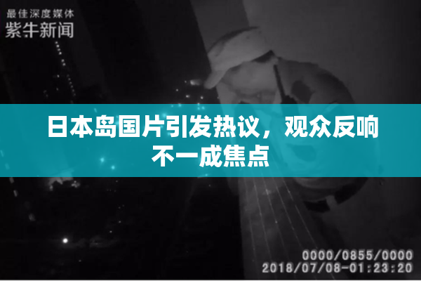 日本岛国片引发热议，观众反响不一成焦点