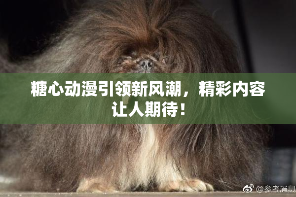 糖心动漫引领新风潮，精彩内容让人期待！