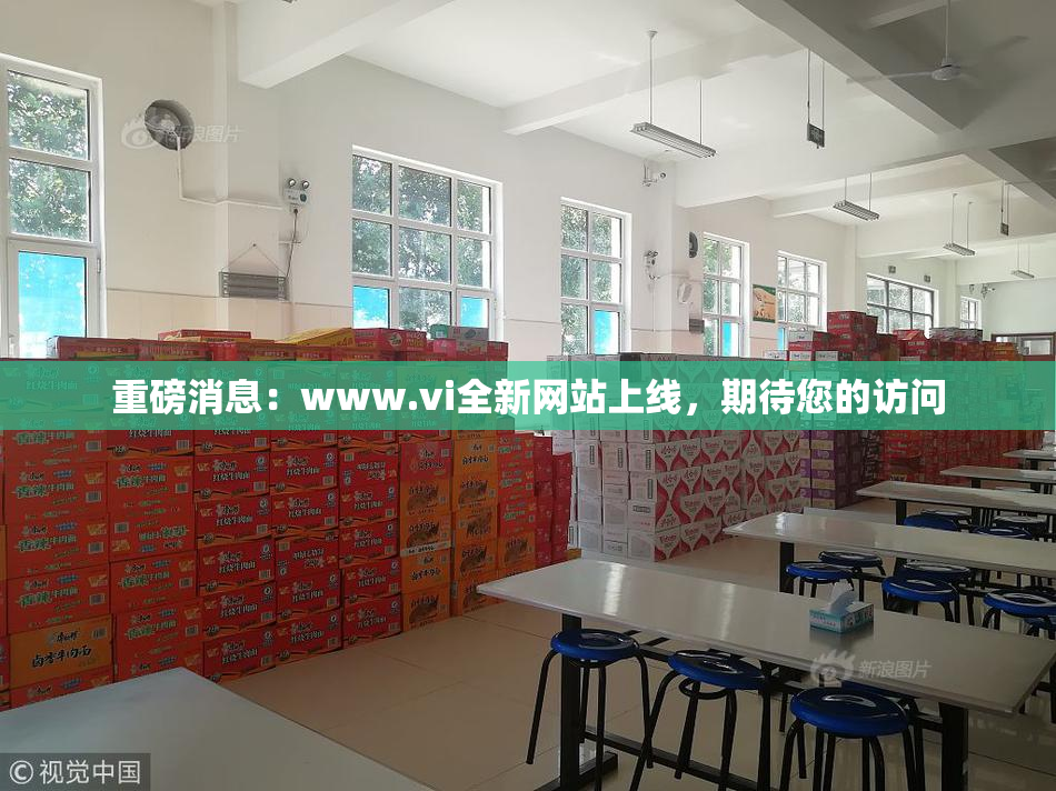 重磅消息：www.vi全新网站上线，期待您的访问