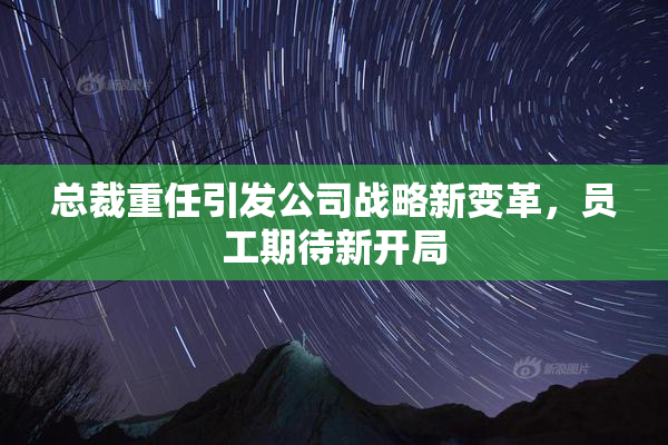 总裁重任引发公司战略新变革，员工期待新开局