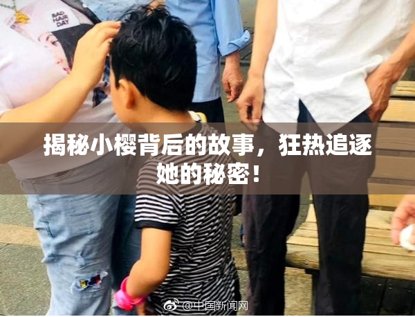 揭秘小樱背后的故事，狂热追逐她的秘密！