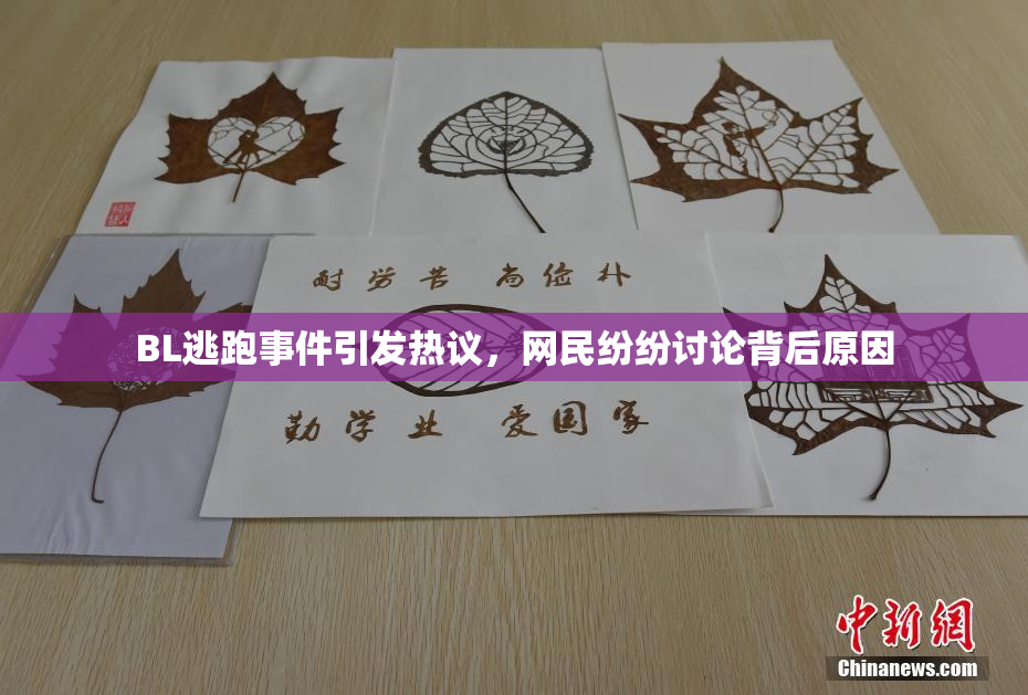 BL逃跑事件引发热议，网民纷纷讨论背后原因
