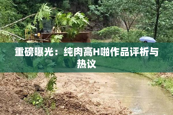 重磅曝光：纯肉高H啪作品评析与热议