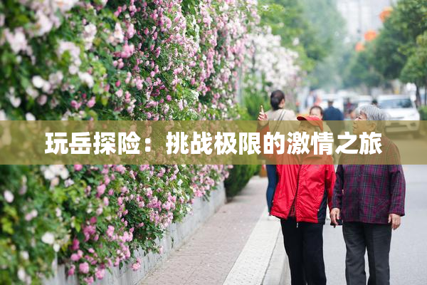 玩岳探险：挑战极限的激情之旅