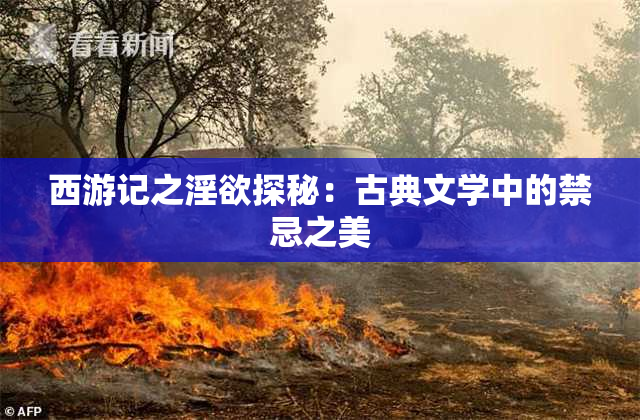 西游记之淫欲探秘：古典文学中的禁忌之美