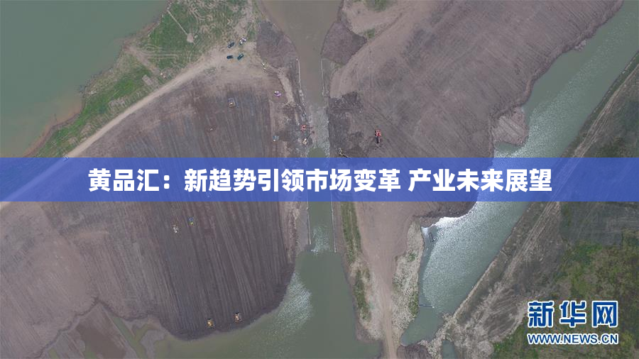 黄品汇：新趋势引领市场变革 产业未来展望