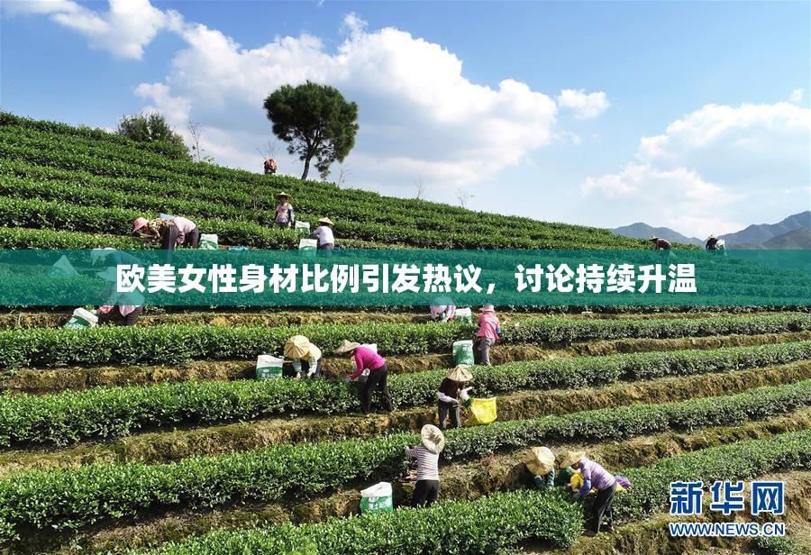 欧美女性身材比例引发热议，讨论持续升温