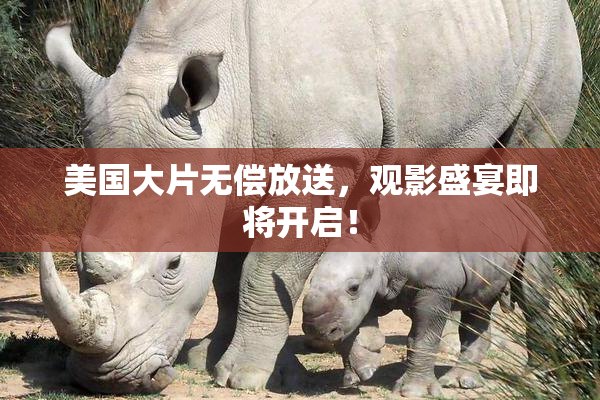美国大片无偿放送，观影盛宴即将开启！