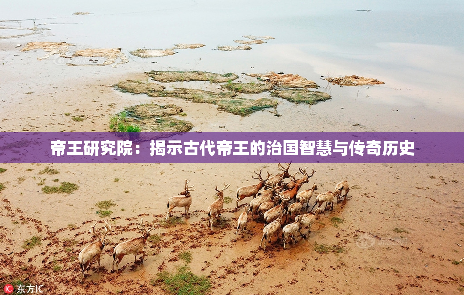 帝王研究院：揭示古代帝王的治国智慧与传奇历史
