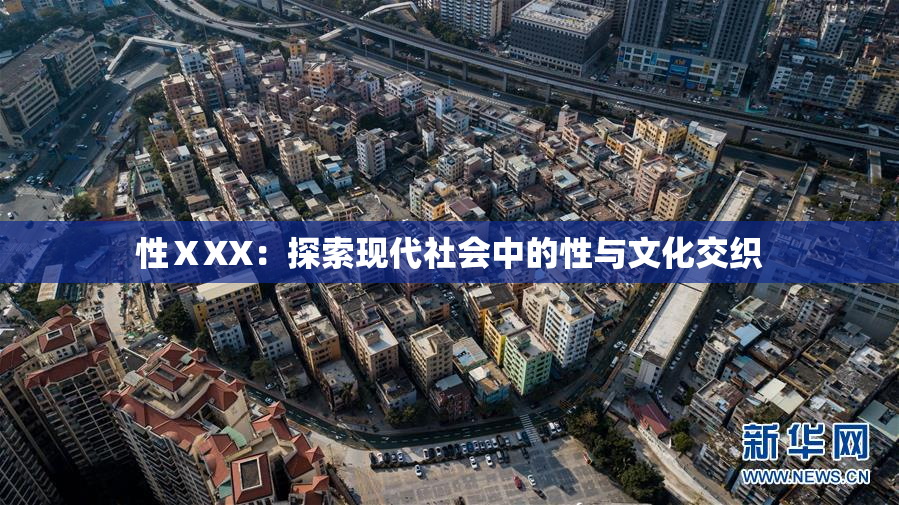性ⅩXX：探索现代社会中的性与文化交织