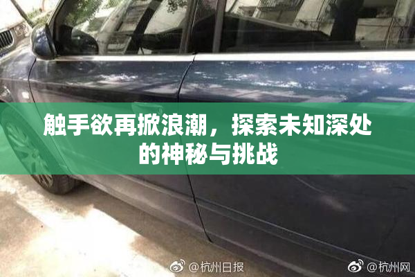 触手欲再掀浪潮，探索未知深处的神秘与挑战