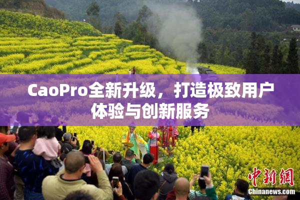 CaoPro全新升级，打造极致用户体验与创新服务