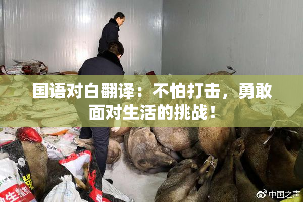 国语对白翻译：不怕打击，勇敢面对生活的挑战！