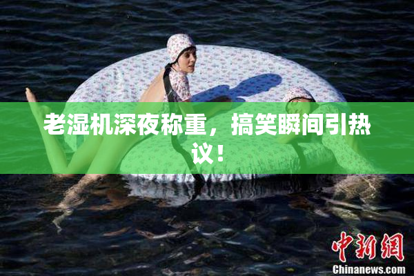 老湿机深夜称重，搞笑瞬间引热议！