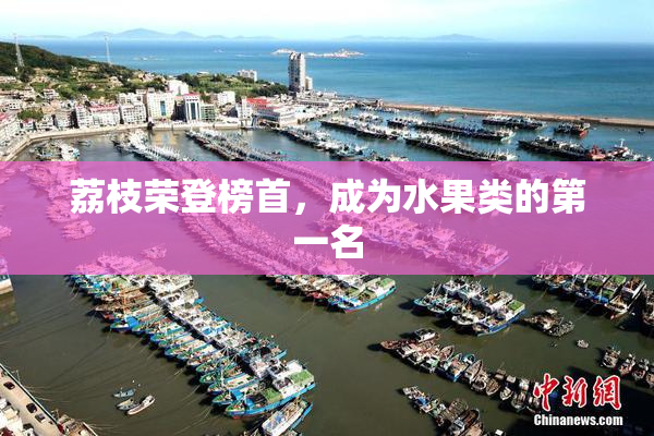 荔枝荣登榜首，成为水果类的第一名