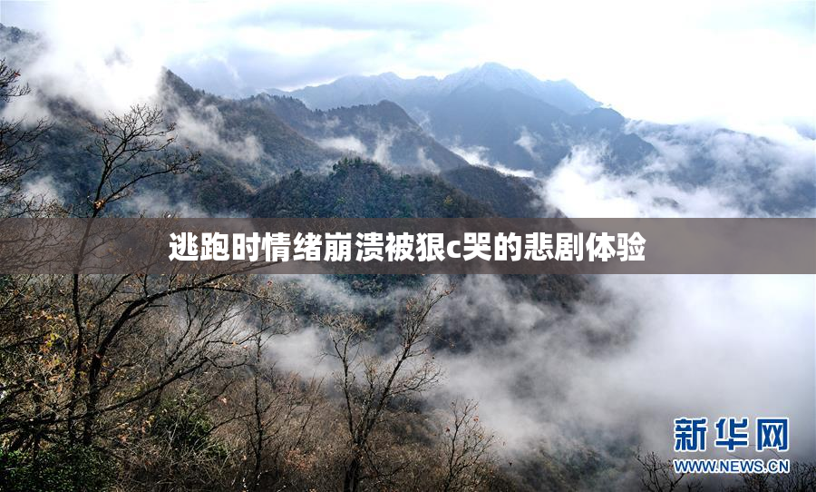 逃跑时情绪崩溃被狠c哭的悲剧体验