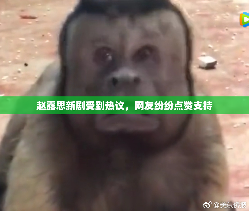 赵露思新剧受到热议，网友纷纷点赞支持