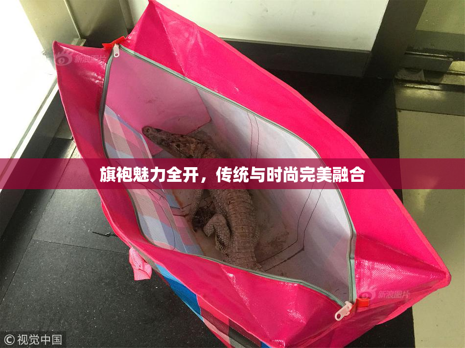旗袍魅力全开，传统与时尚完美融合