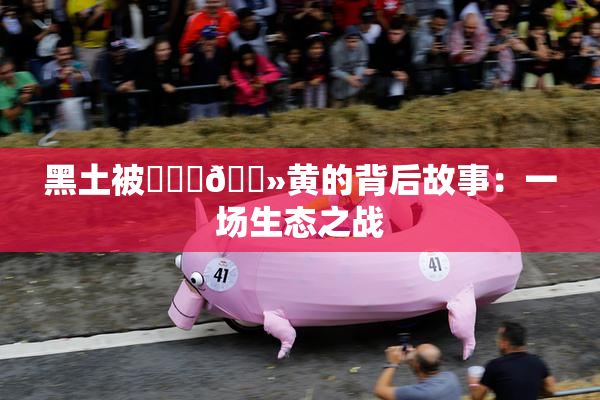 黑土被❌‌‌🐻黄的背后故事：一场生态之战