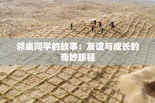 邻桌同学的故事：友谊与成长的奇妙旅程