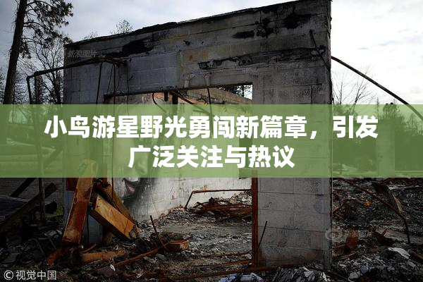 小鸟游星野光勇闯新篇章，引发广泛关注与热议