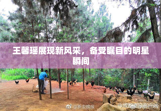 王馨瑶展现新风采，备受瞩目的明星瞬间