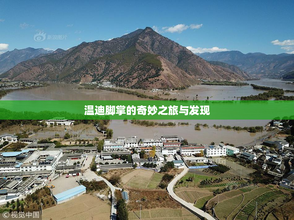 温迪脚掌的奇妙之旅与发现
