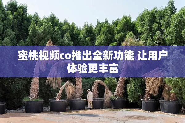 蜜桃视频co推出全新功能 让用户体验更丰富