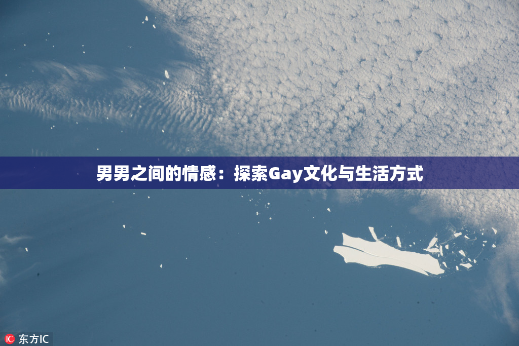 男男之间的情感：探索Gay文化与生活方式