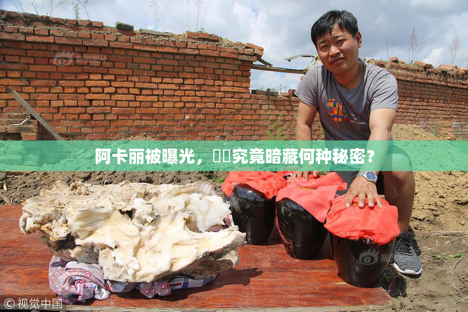阿卡丽被曝光，❌‌究竟暗藏何种秘密？