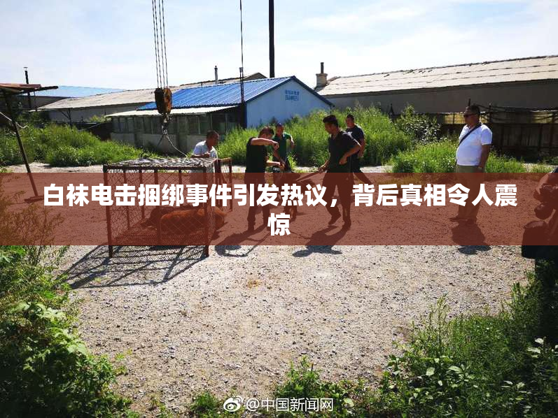 白袜电击捆绑事件引发热议，背后真相令人震惊