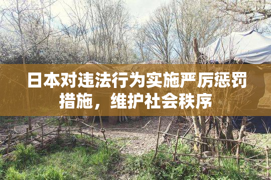 日本对违法行为实施严厉惩罚措施，维护社会秩序
