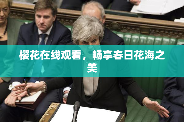 樱花在线观看，畅享春日花海之美