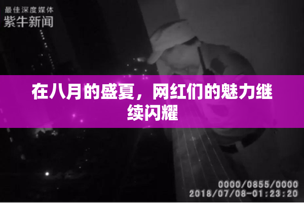 在八月的盛夏，网红们的魅力继续闪耀