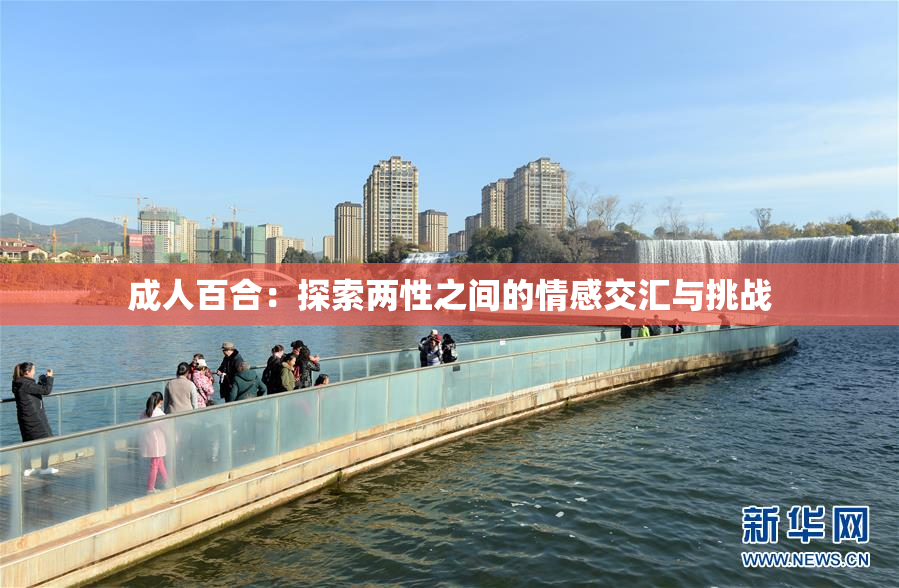 成人百合：探索两性之间的情感交汇与挑战