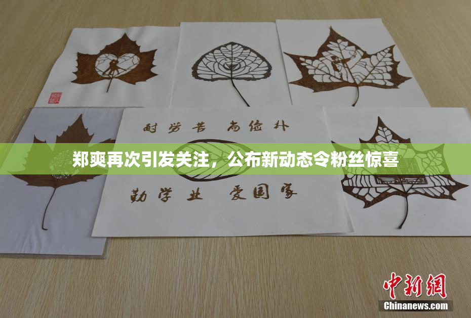 郑爽再次引发关注，公布新动态令粉丝惊喜