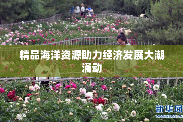 精品海洋资源助力经济发展大潮涌动