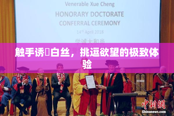 触手诱奷白丝，挑逗欲望的极致体验
