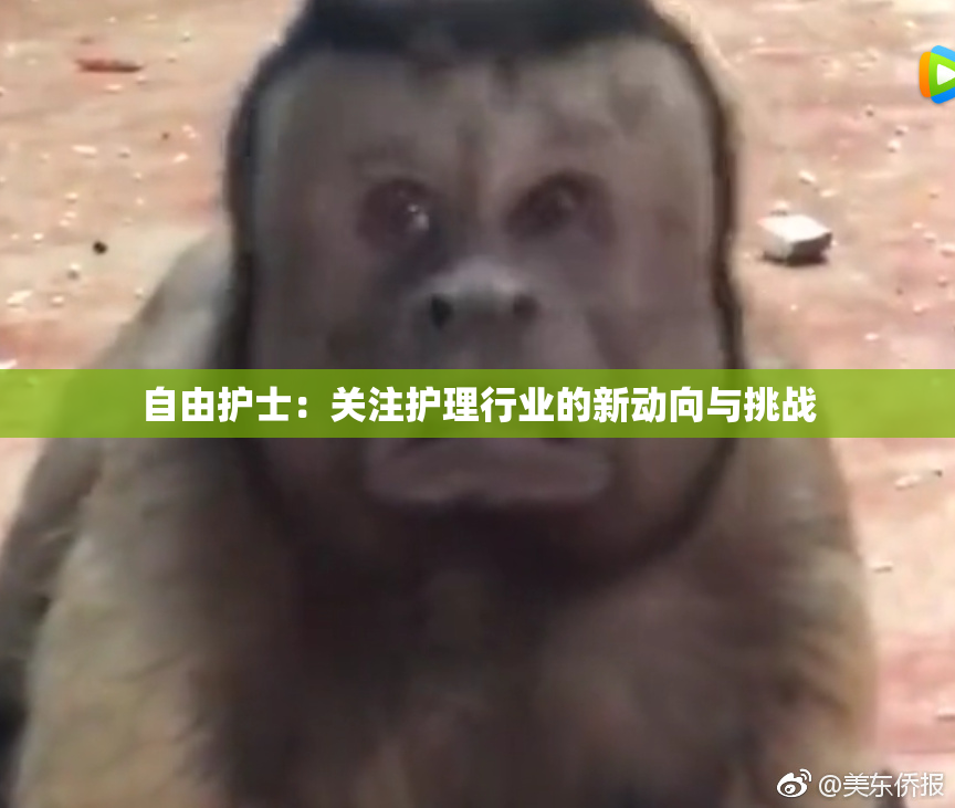 自由护士：关注护理行业的新动向与挑战