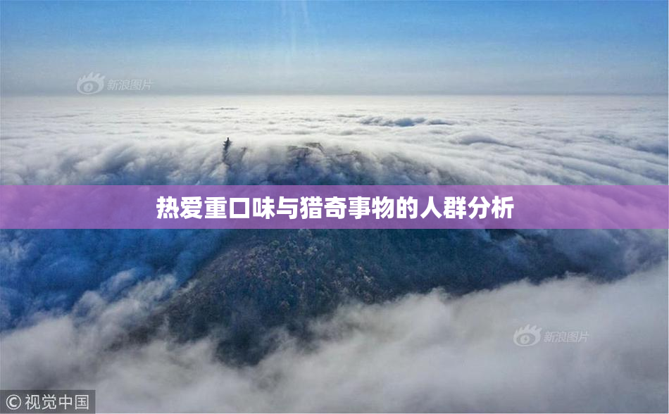 热爱重口味与猎奇事物的人群分析