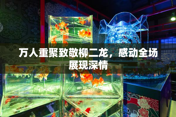 万人重聚致敬柳二龙，感动全场展现深情