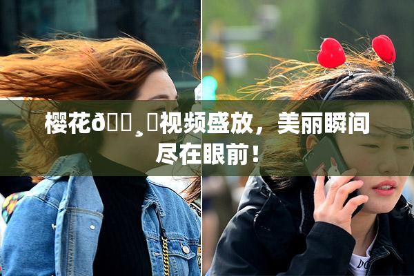 樱花🌸‌视频盛放，美丽瞬间尽在眼前！