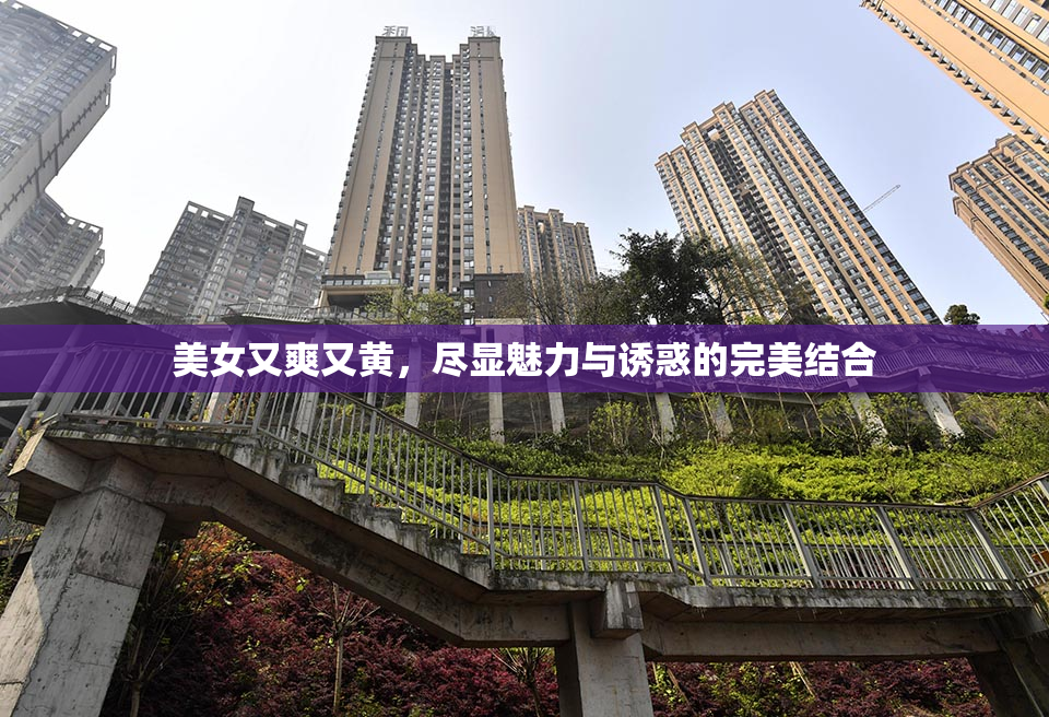 美女又爽又黄，尽显魅力与诱惑的完美结合