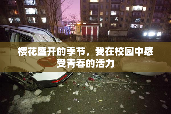 樱花盛开的季节，我在校园中感受青春的活力