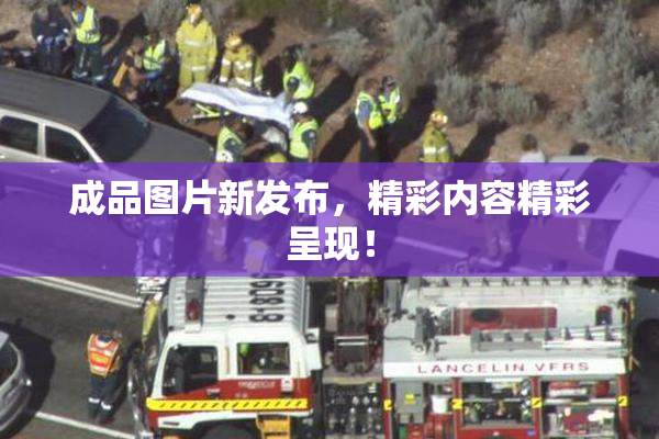 成品图片新发布，精彩内容精彩呈现！