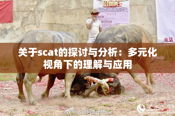 关于scat的探讨与分析：多元化视角下的理解与应用