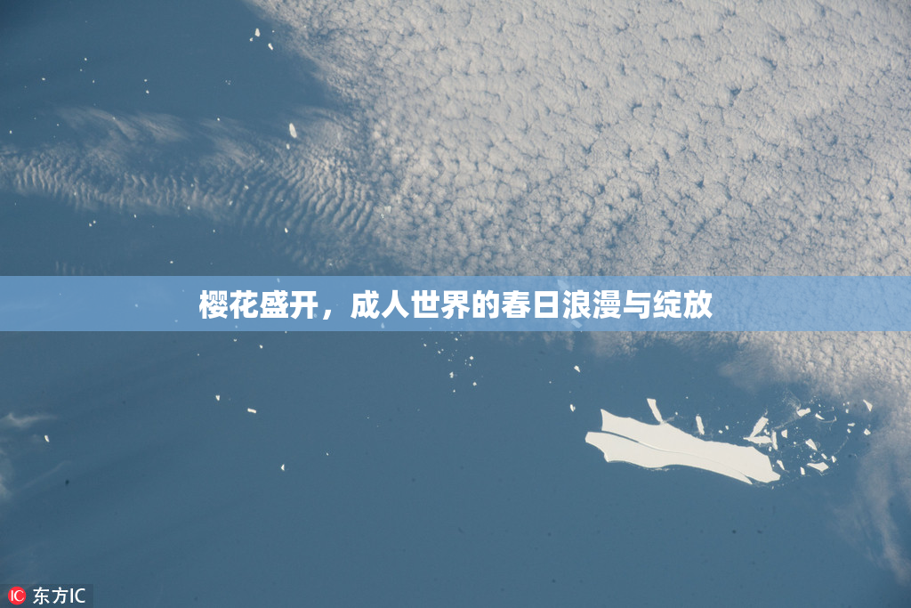 樱花盛开，成人世界的春日浪漫与绽放