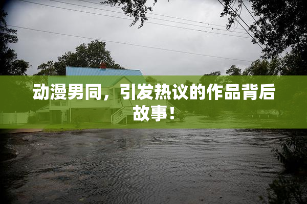 动漫男同，引发热议的作品背后故事！